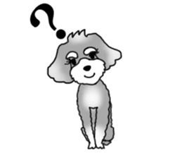 AER the Miniature Schnauzer sticker #14224440