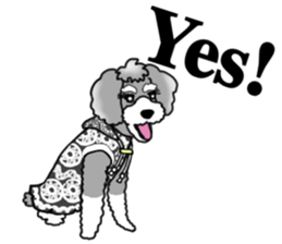 AER the Miniature Schnauzer sticker #14224442