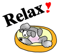 AER the Miniature Schnauzer sticker #14224445