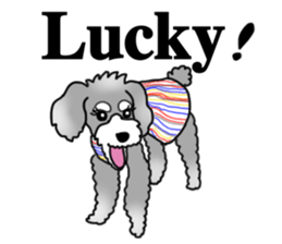 AER the Miniature Schnauzer sticker #14224446
