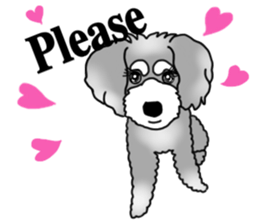 AER the Miniature Schnauzer sticker #14224448