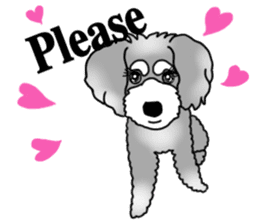 AER the Miniature Schnauzer sticker #14224448