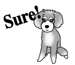 AER the Miniature Schnauzer sticker #14224450