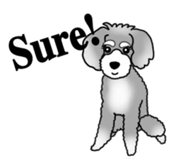 AER the Miniature Schnauzer sticker #14224450