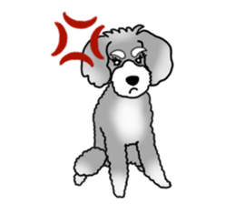 AER the Miniature Schnauzer sticker #14224451
