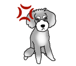 AER the Miniature Schnauzer sticker #14224451