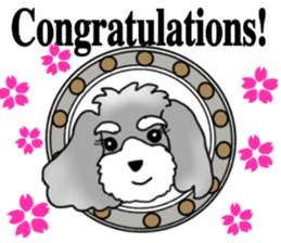 AER the Miniature Schnauzer sticker #14224453