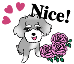 AER the Miniature Schnauzer sticker #14224460