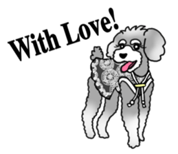 AER the Miniature Schnauzer sticker #14224461