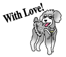 AER the Miniature Schnauzer sticker #14224461