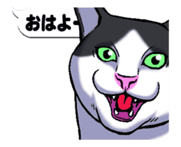 Animated Sticker!!Cats love balloon 2 sticker #14224975