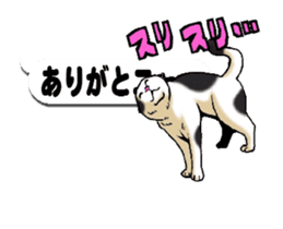 Animated Sticker!!Cats love balloon 2 sticker #14224976