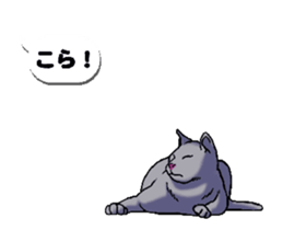 Animated Sticker!!Cats love balloon 2 sticker #14224981