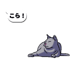 Animated Sticker!!Cats love balloon 2 sticker #14224981