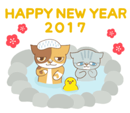 sorry , I'm a cat8-Happy new year- sticker #14225449