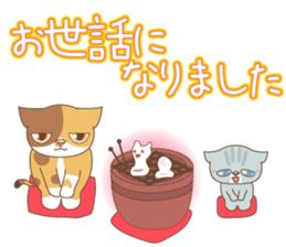 sorry , I'm a cat8-Happy new year- sticker #14225460