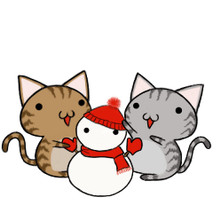 Cat ASHver kitten's Winter life