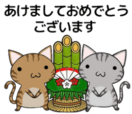 Cat ASHver kitten's Winter life sticker #14227077