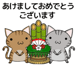 Cat ASHver kitten's Winter life sticker #14227077