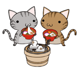 Cat ASHver kitten's Winter life sticker #14227080