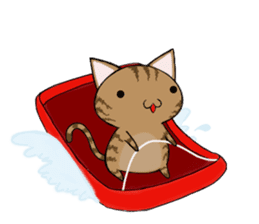 Cat ASHver kitten's Winter life sticker #14227094