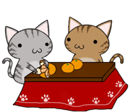 Cat ASHver kitten's Winter life sticker #14227101