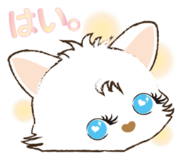 White Cat desu 3 sticker #14227244