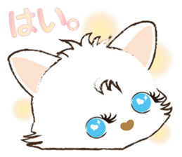 White Cat desu 3 sticker #14227244