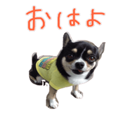 I am Lil. (Greeting) sticker #14227294