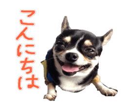 I am Lil. (Greeting) sticker #14227295