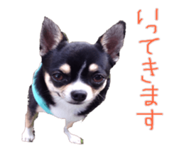 I am Lil. (Greeting) sticker #14227297