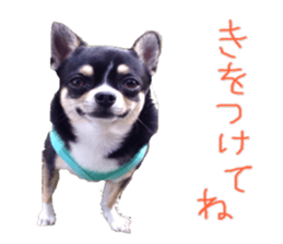 I am Lil. (Greeting) sticker #14227298