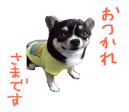 I am Lil. (Greeting) sticker #14227300