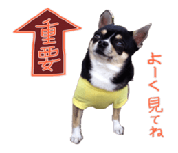 I am Lil. (Greeting) sticker #14227301