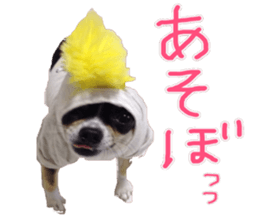 I am Lil. (Greeting) sticker #14227304