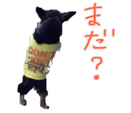 I am Lil. (Greeting) sticker #14227305