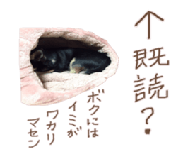 I am Lil. (Greeting) sticker #14227306