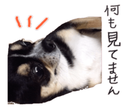 I am Lil. (Greeting) sticker #14227307