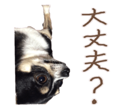 I am Lil. (Greeting) sticker #14227309