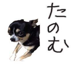 I am Lil. (Greeting) sticker #14227310