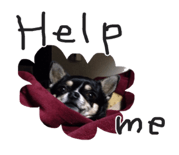 I am Lil. (Greeting) sticker #14227312