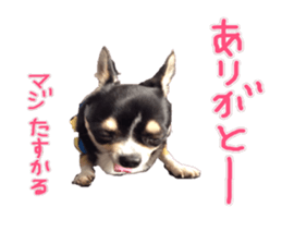 I am Lil. (Greeting) sticker #14227313