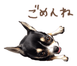 I am Lil. (Greeting) sticker #14227314