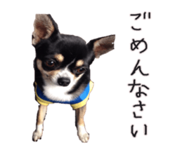 I am Lil. (Greeting) sticker #14227315