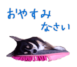 I am Lil. (Greeting) sticker #14227316