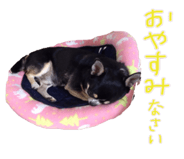 I am Lil. (Greeting) sticker #14227317