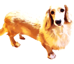 3 Dogs Sticker sticker #14227614