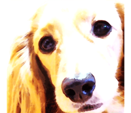 3 Dogs Sticker sticker #14227616