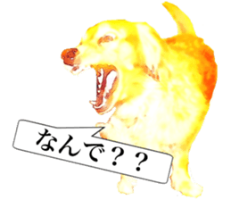 3 Dogs Sticker sticker #14227618