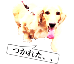 3 Dogs Sticker sticker #14227619